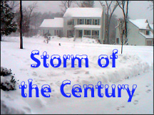 Storm of the Century.JPG (33083 bytes)